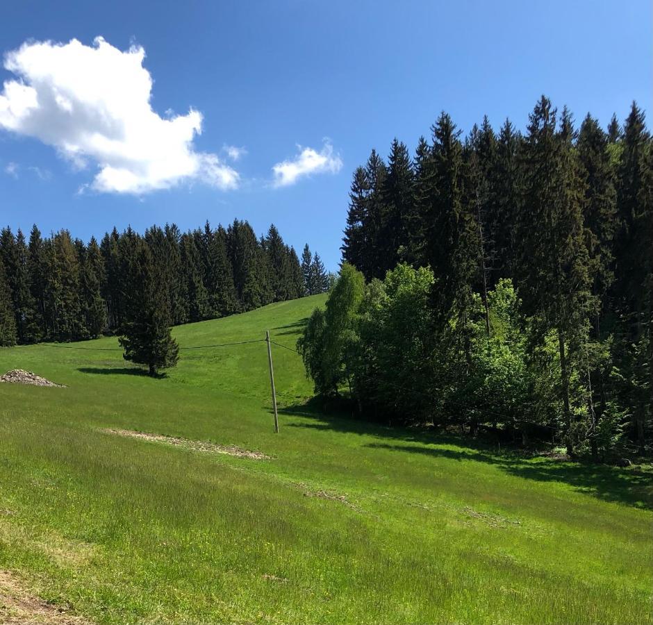 Blick Hotell Lądek-Zdrój Exteriör bild