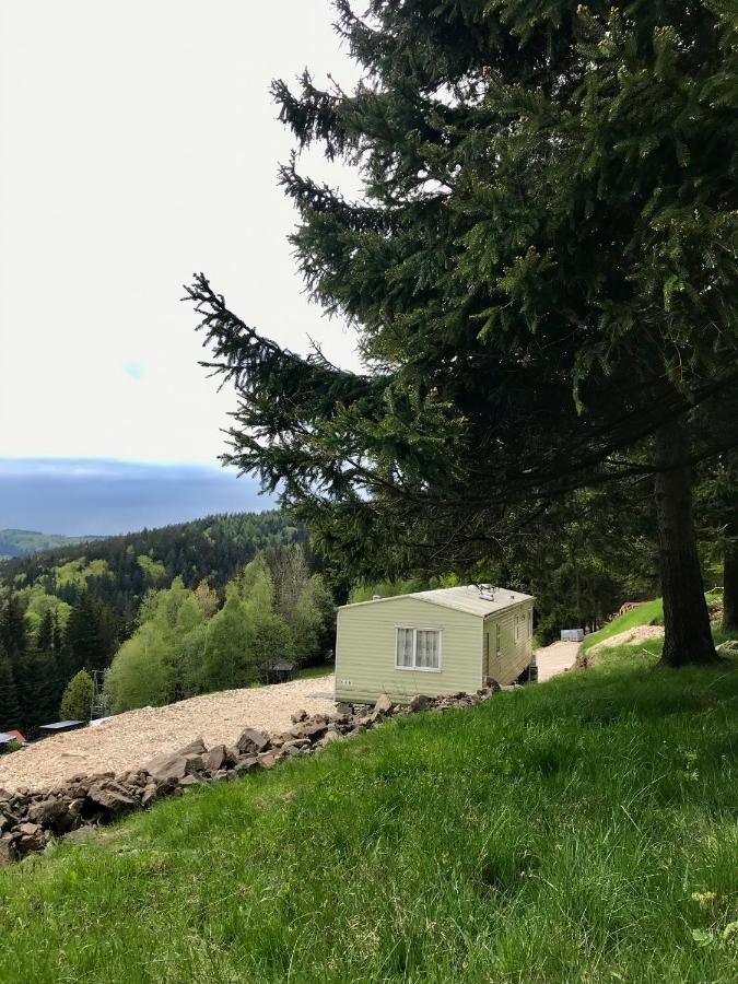 Blick Hotell Lądek-Zdrój Exteriör bild